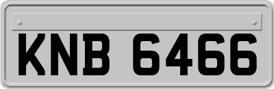 KNB6466