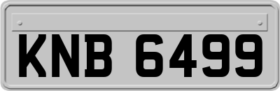 KNB6499