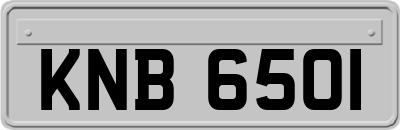 KNB6501