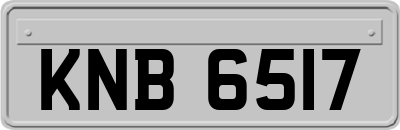 KNB6517