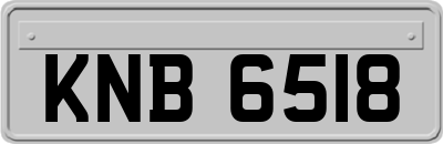 KNB6518