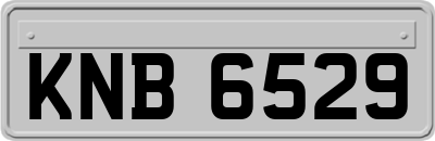 KNB6529