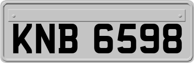 KNB6598