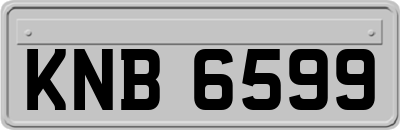 KNB6599