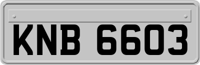 KNB6603