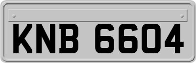 KNB6604