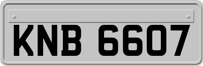 KNB6607