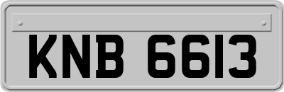 KNB6613