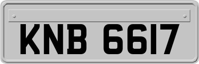 KNB6617