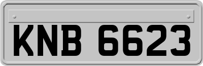 KNB6623