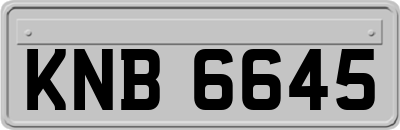 KNB6645