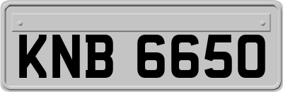 KNB6650