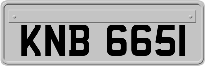 KNB6651