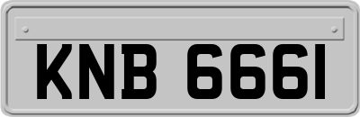 KNB6661