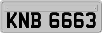 KNB6663