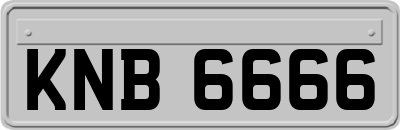 KNB6666