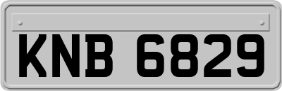 KNB6829