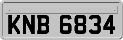 KNB6834