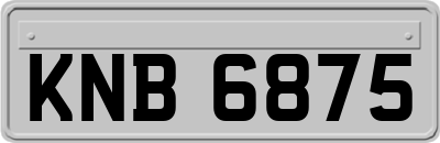 KNB6875