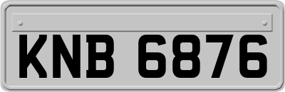 KNB6876