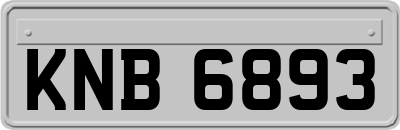 KNB6893