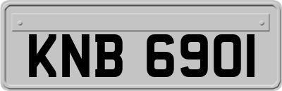 KNB6901