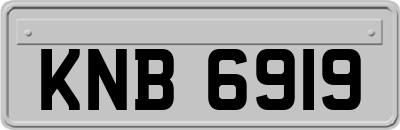 KNB6919