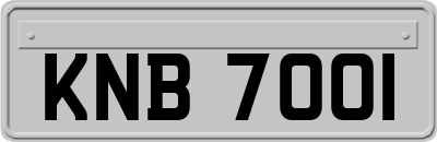 KNB7001