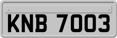 KNB7003