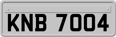 KNB7004