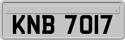 KNB7017