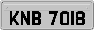 KNB7018