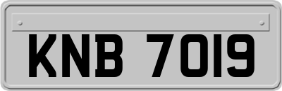 KNB7019