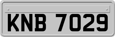 KNB7029