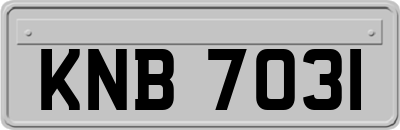 KNB7031