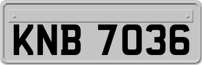 KNB7036