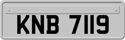 KNB7119