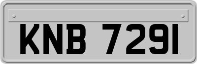 KNB7291