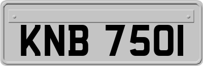 KNB7501