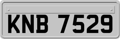 KNB7529