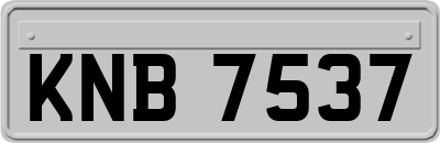 KNB7537