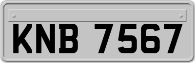 KNB7567