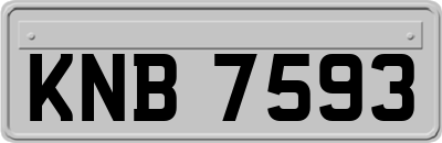 KNB7593