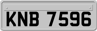 KNB7596