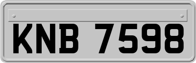 KNB7598