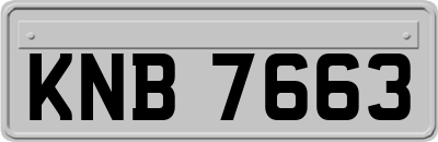 KNB7663