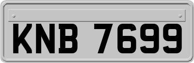 KNB7699