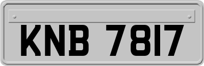 KNB7817