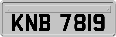 KNB7819