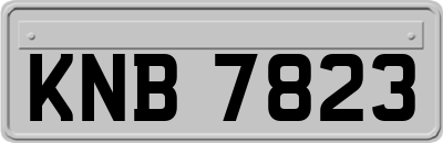 KNB7823